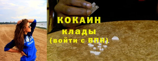 прущие грибы Строитель
