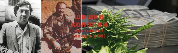 прущие грибы Строитель