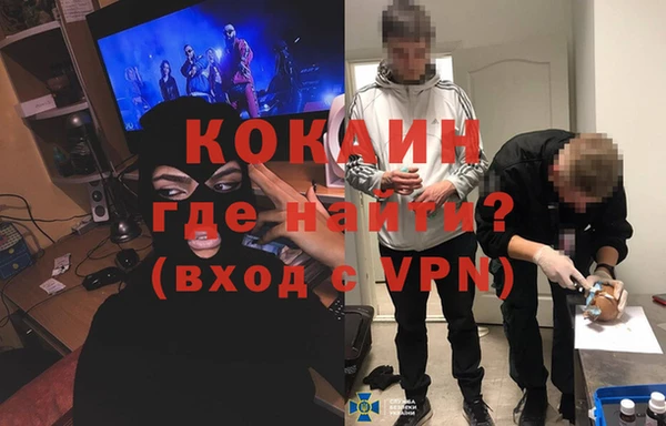 прущие грибы Строитель