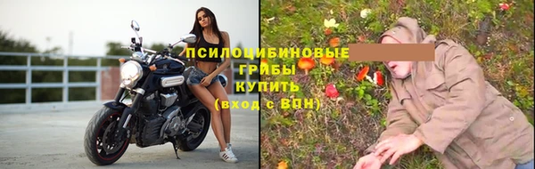 спайс Тавда