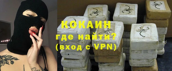 спайс Тавда