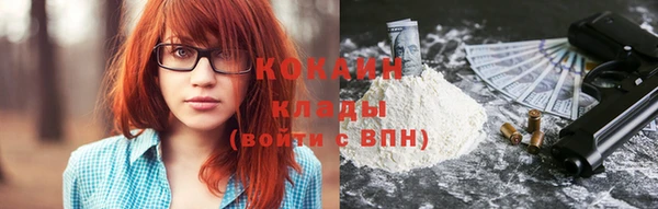 спайс Тавда