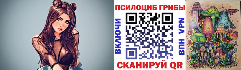 Псилоцибиновые грибы GOLDEN TEACHER  Купить  Отрадное 